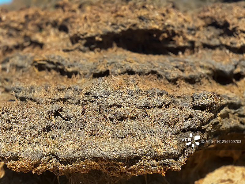 科德角海湾沿岸的蛋糕状沉积物图片素材