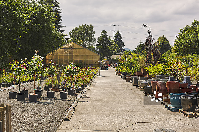 苗圃和温室的远景图片素材