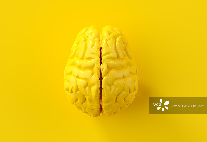 黄色大脑图片素材
