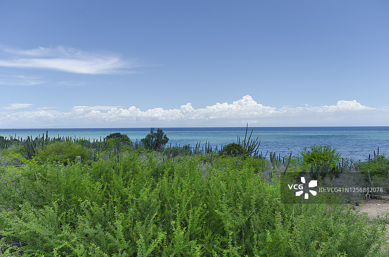 加勒比海景观，蓝色和绿色图片素材