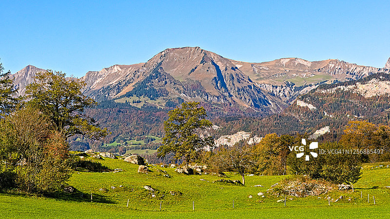 迈林根镇附近美丽的秋日，眺望伯尔尼高地的阿尔卑斯山图片素材