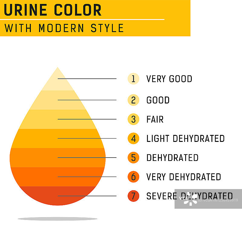 白色背景上的尿液颜色矢量图，适用于所有项目、网页设计等。信息完整易懂，扁平风格设计，EPS文件图片素材
