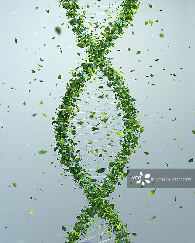 绿色DNA图片素材