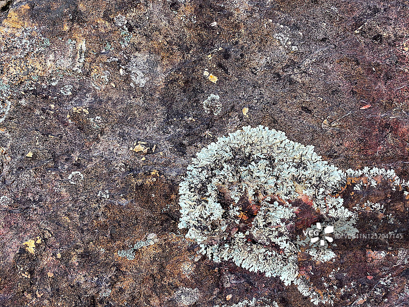 岩石表面的地毯式样图片素材