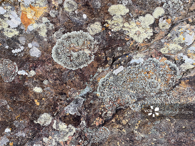 岩石表面的地毯式样图片素材