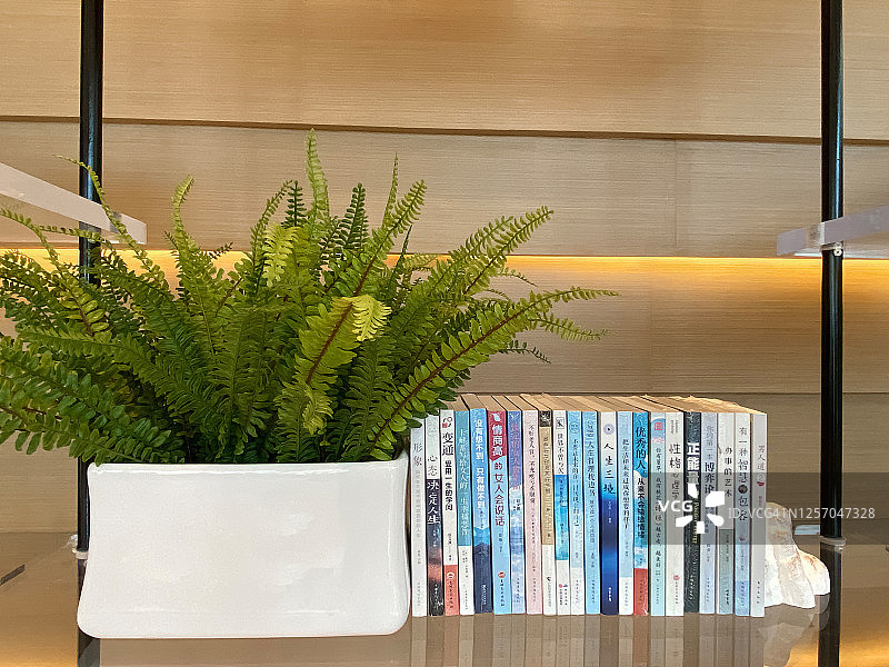 书籍和盆栽植物图片素材