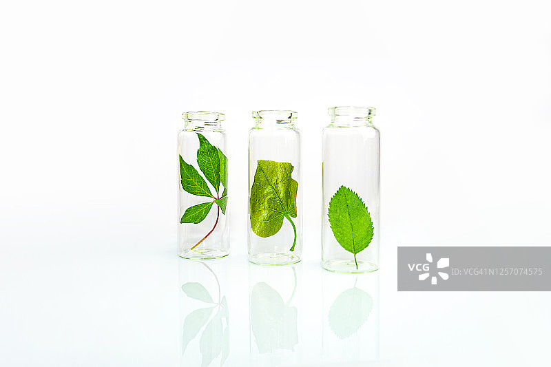 皮肤护理产品：天然化妆品精华液图片素材