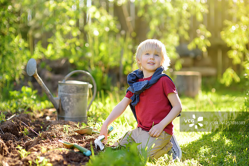 夏天阳光明媚的一天，小男孩在后院用铲子挖掘，妈妈的小助手图片素材