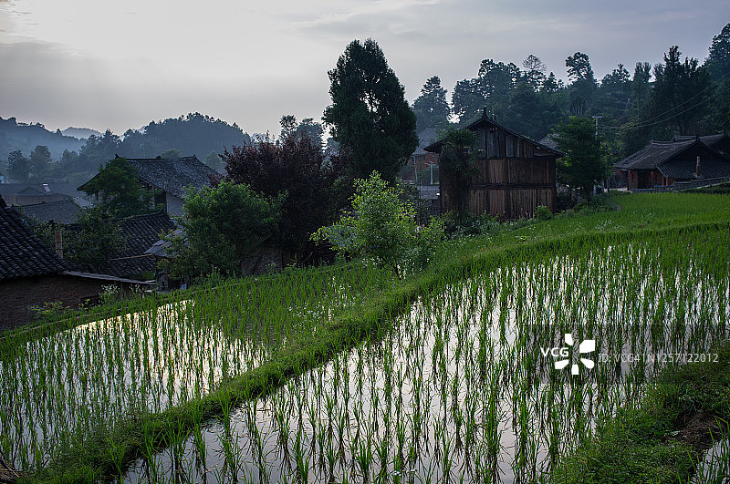 马塘村梯田日出景观图片素材