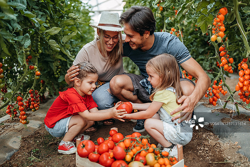 家庭生意图片素材
