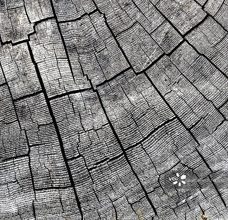 裂纹木纹图片素材