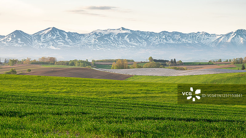 飘动的烟雾图片素材