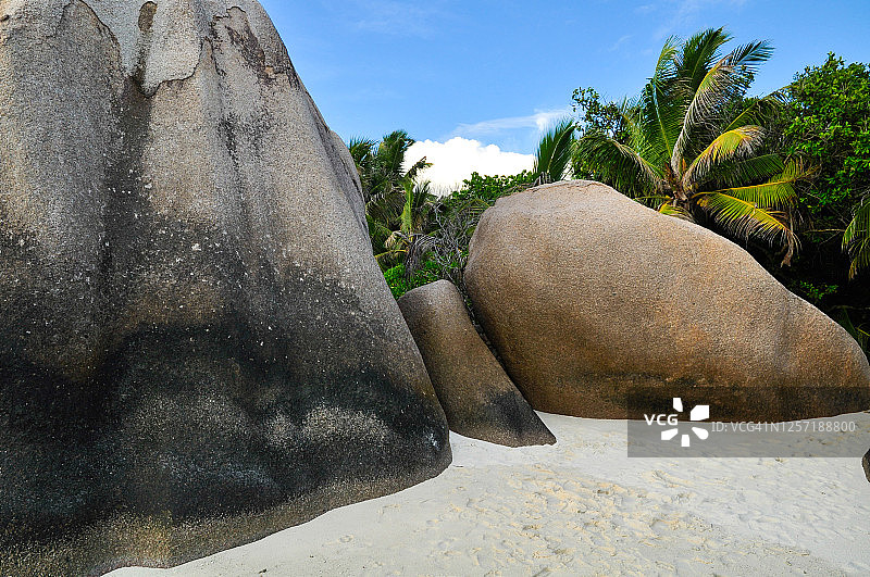 热带岛屿荒野地区，岩石和棕榈树海滩的低角度视图图片素材