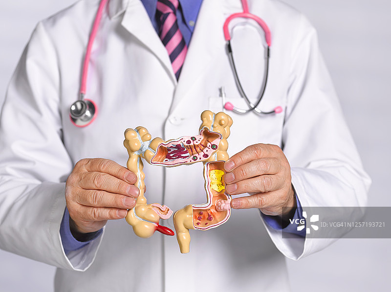 医生拿着常见病理的解剖模型图片素材