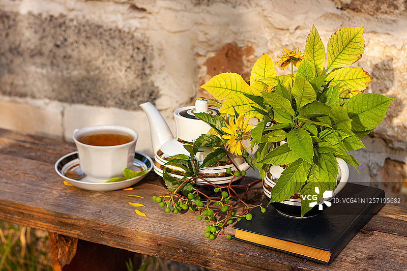 书籍、秋叶鲜花、茶杯、木凳、绿色野生葡萄枝，暖暖的草药饮品，白色瓷器茶具图片素材