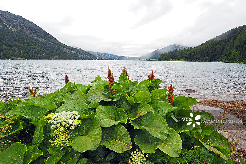 恩加丁山谷锡尔瓦普拉纳湖全景图片素材