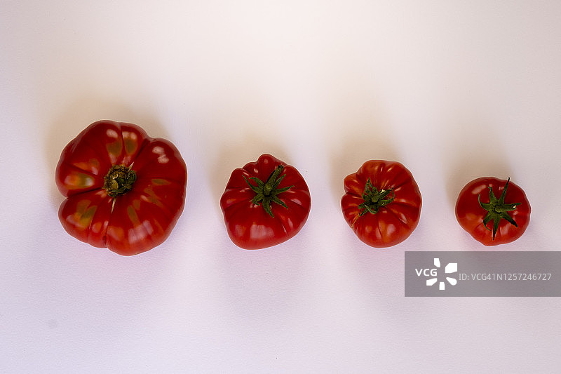 不同类型的西红柿图片素材