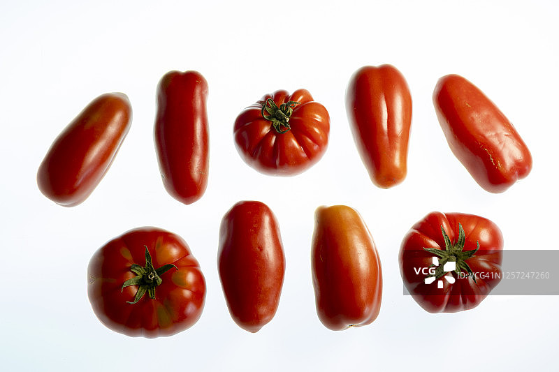 不同类型的西红柿图片素材