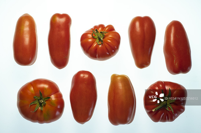 不同类型的西红柿图片素材