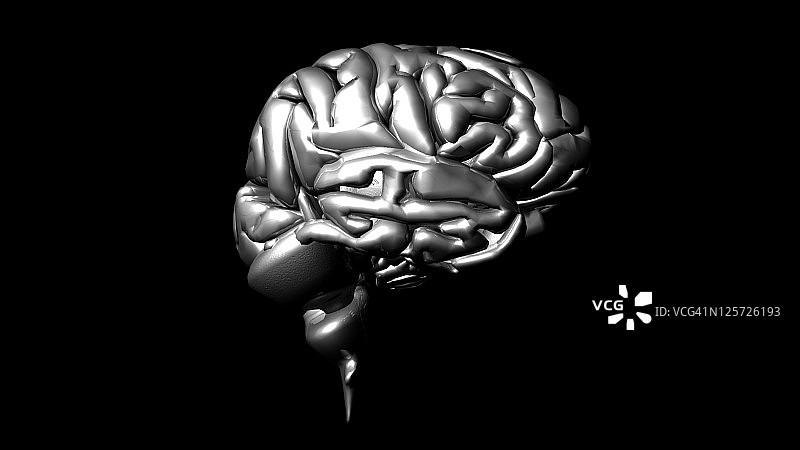 高度详细的人脑动画图片素材