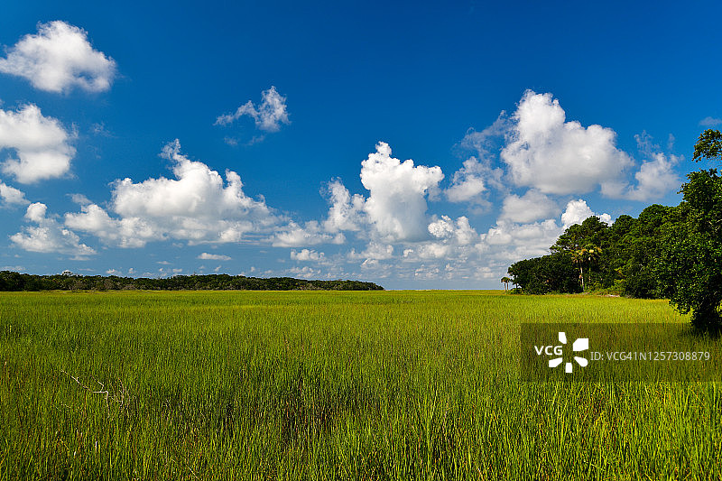 沼泽和云彩图片素材