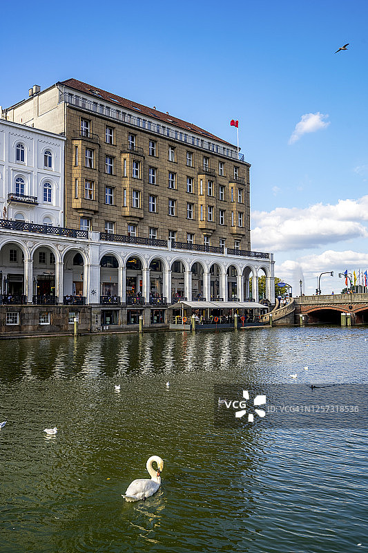 德国汉堡，在阿尔斯特湖中游泳的鸟类，背景是阿尔斯特拱廊图片素材