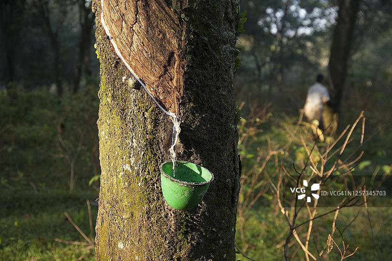 工人在背景中采集乳胶图片素材