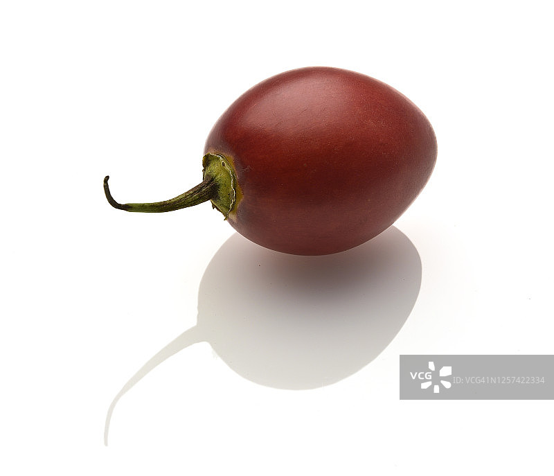 树番茄图片素材