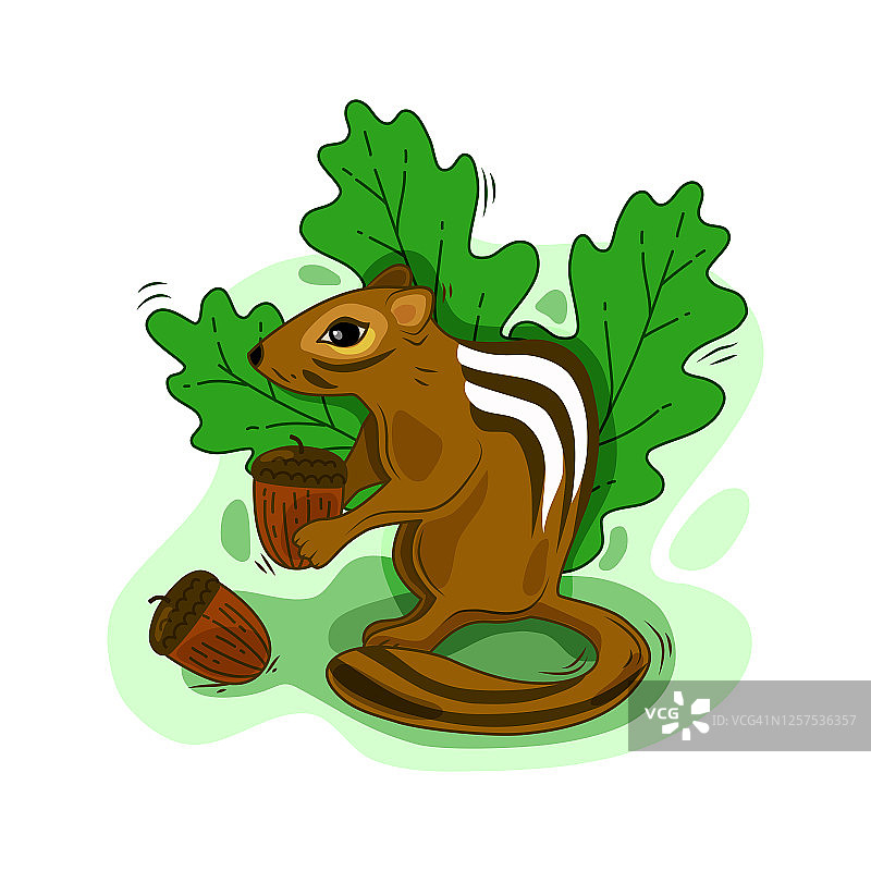 卡通花栗鼠拿着坚果矢量插画，适用于印刷和网页图片素材