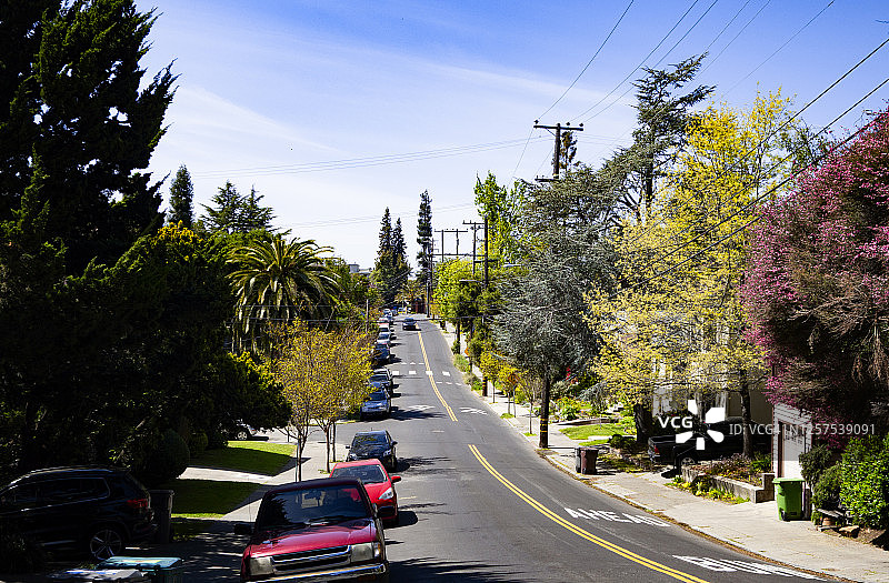 住宅区内的笔直道路图片素材