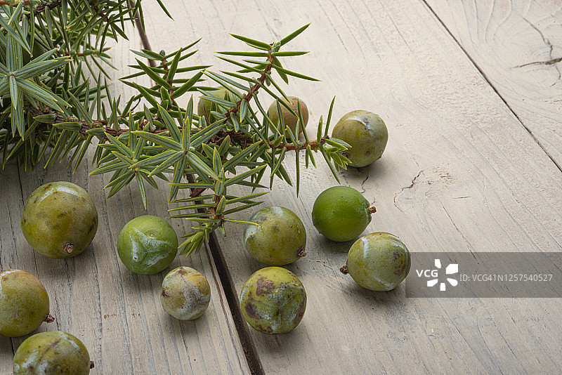 杜松浆果图片素材