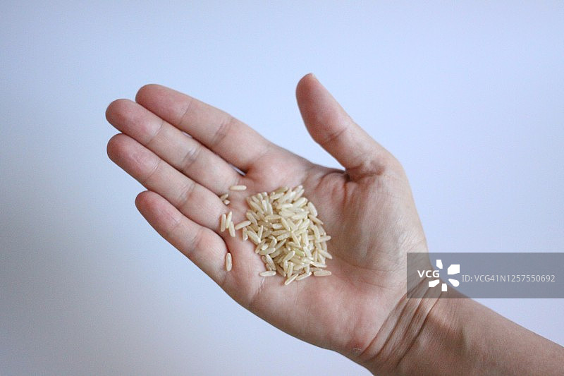 手中的米饭图片素材