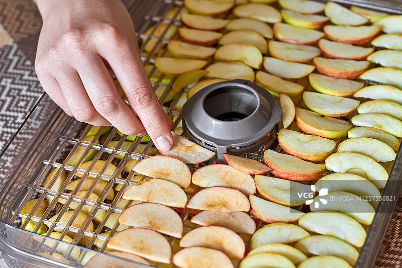 女孩将切好的苹果放入食物烘干机图片素材