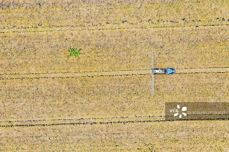 春日乡村，无人机拍摄的绿色播种田地航拍照片。生长着稻田作物的土地图片素材