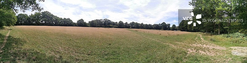 英格兰萨里郡克兰利附近的乡村步行道图片素材