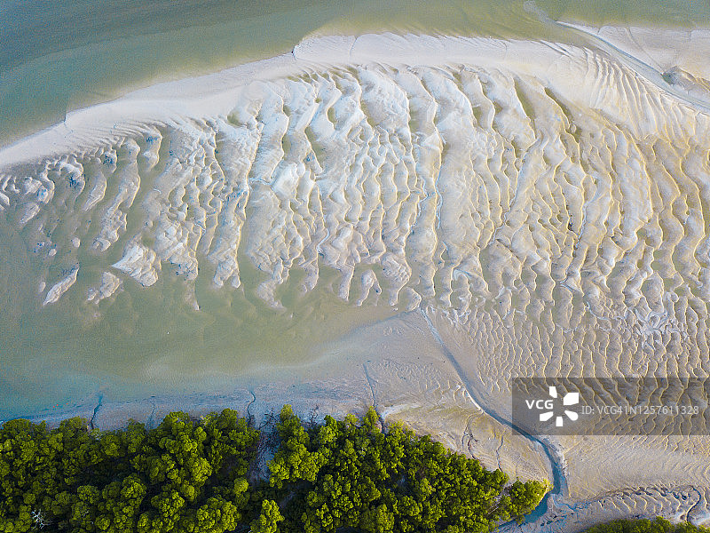 亚马逊地区的红树林区域图片素材