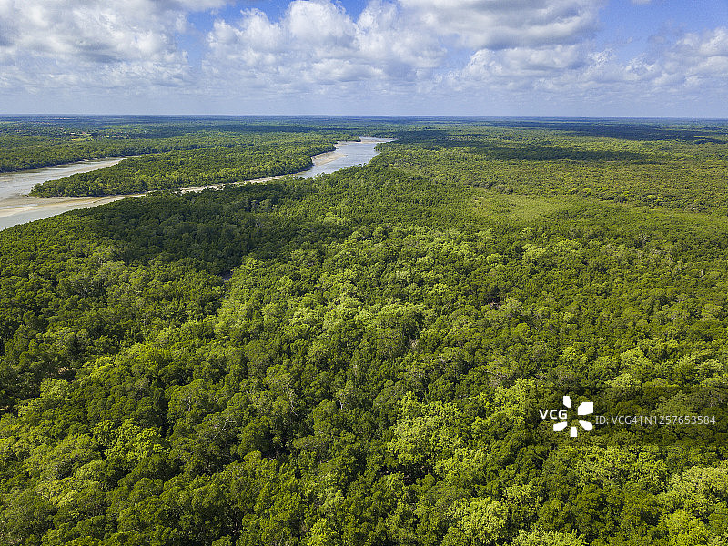 亚马逊雨林鸟瞰图片素材