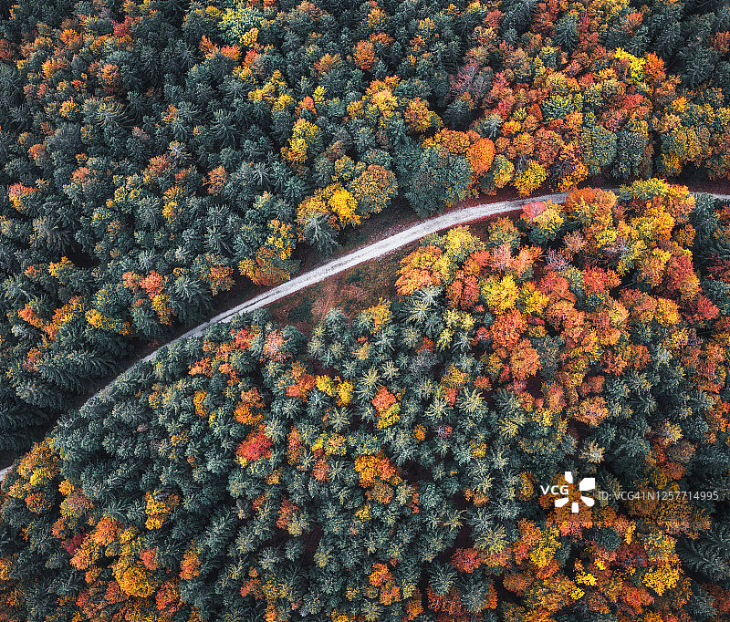 秋季乡村公路航拍图片素材