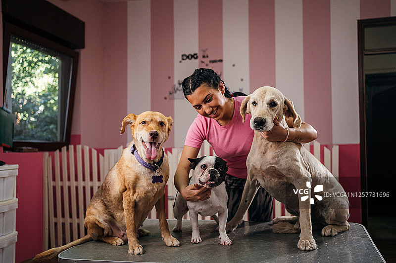 美容院里快乐的狗狗图片素材