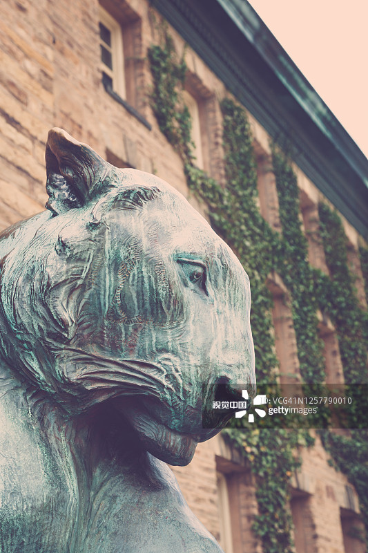 普林斯顿大学拿骚楼的青铜老虎雕像图片素材
