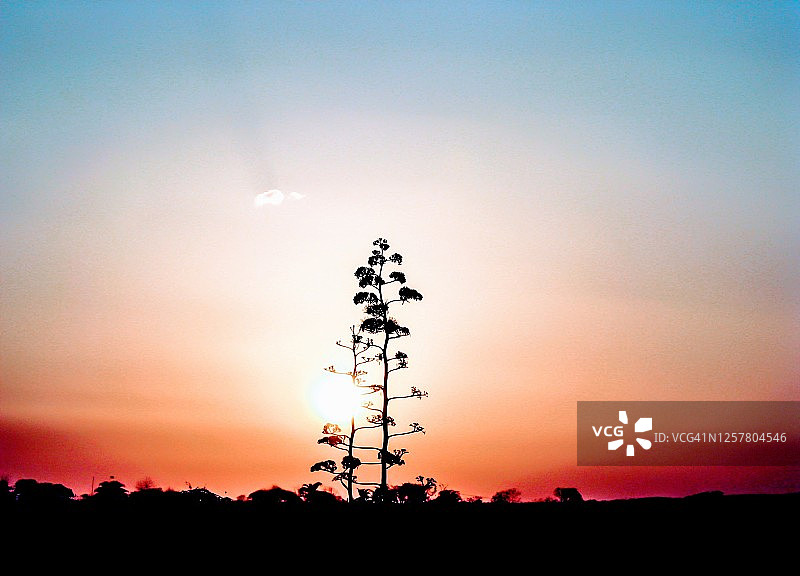 巴西日落图片素材