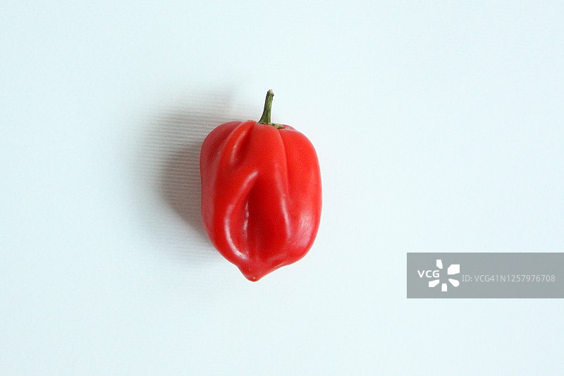 迷你红色甜椒图片素材