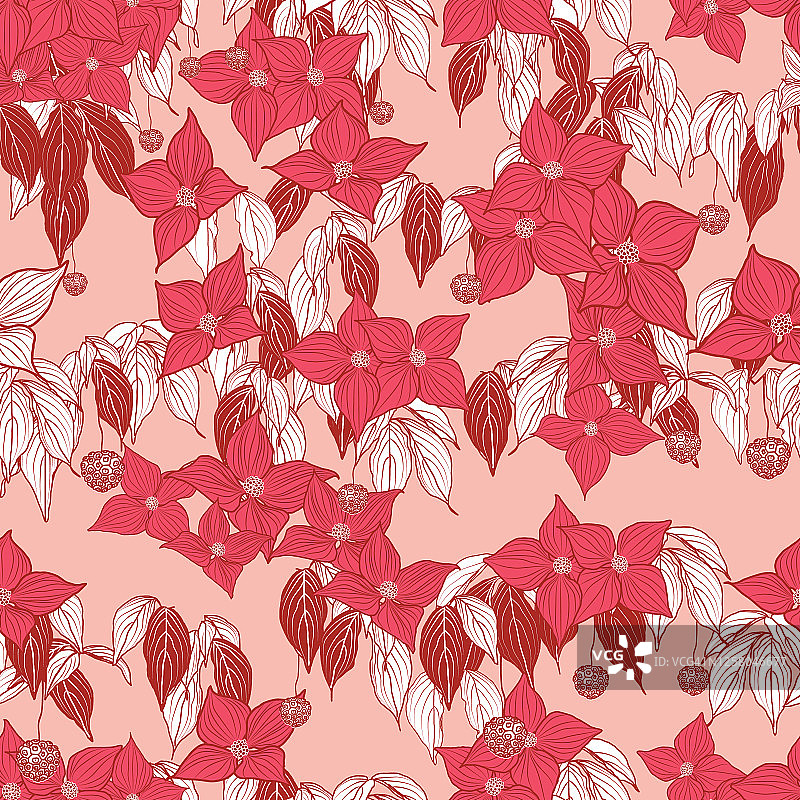 白色山茱萸花绿色叶子背景设计图片素材