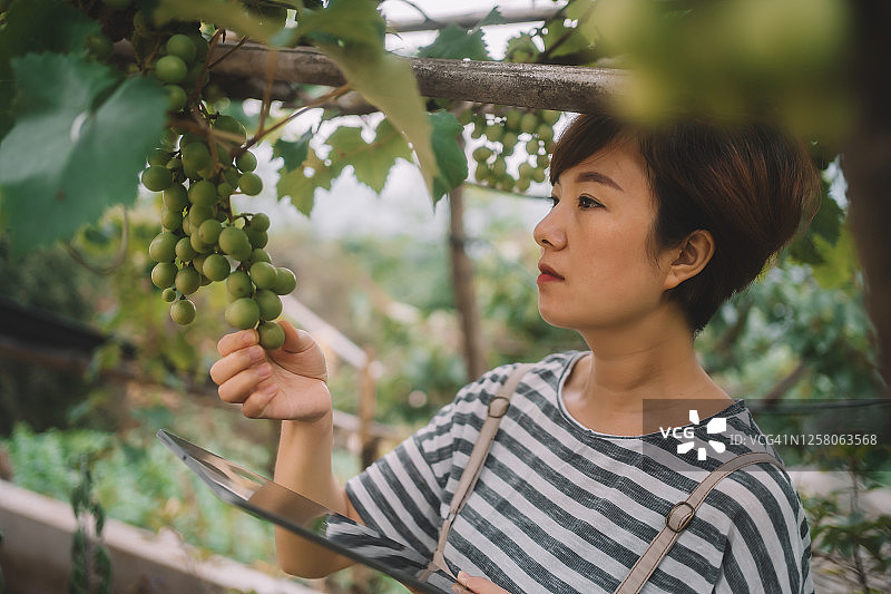 农民在农场使用平板电脑图片素材