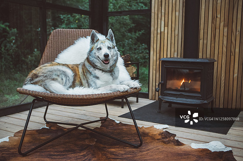 舒适的温室图片素材