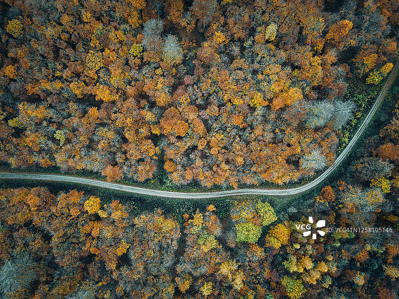 秋季森林鸟瞰图片素材