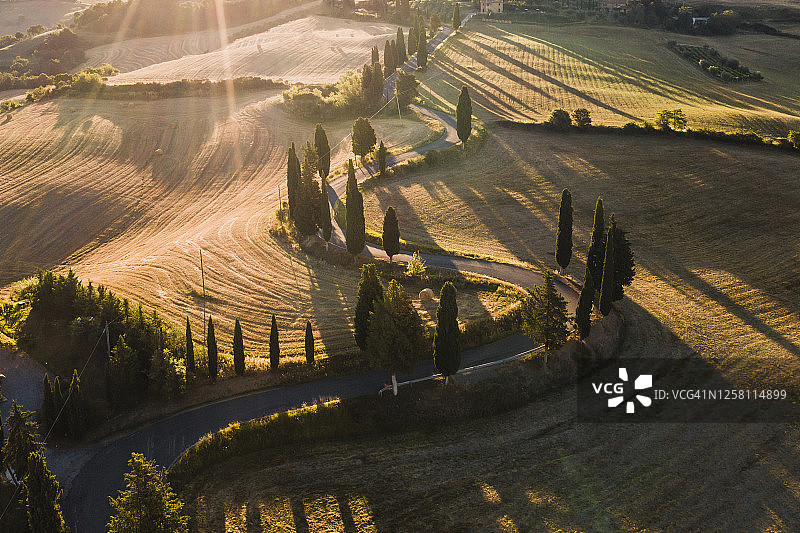 意大利托斯卡纳，柏树林荫的蜿蜒道路图片素材