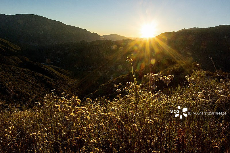 洛杉矶国家森林的日落图片素材