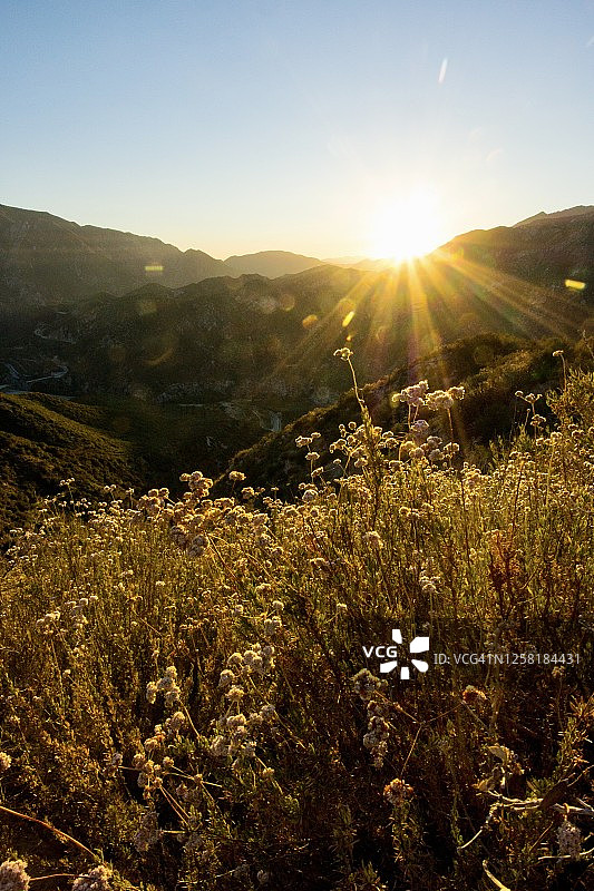 洛杉矶国家森林的日落图片素材