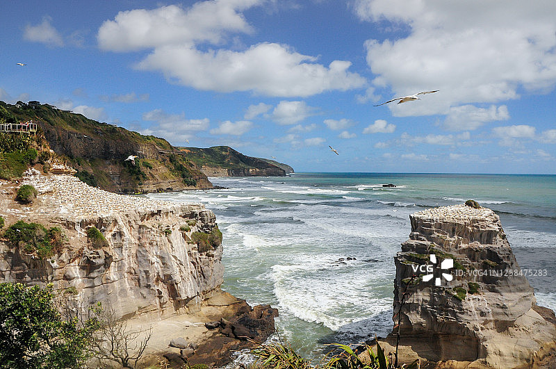 穆里怀塘鹅栖息地图片素材